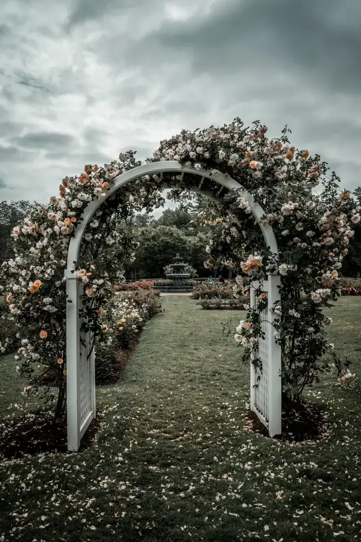 Rose arch in a garden